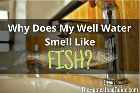 Why Does My Water Filter Smell Like Fish .